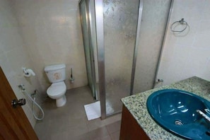 Douche, séchoir à cheveux, serviettes fournies