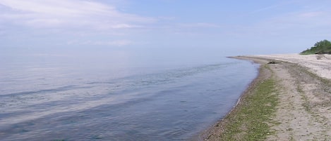 بالقرب من الشاطئ