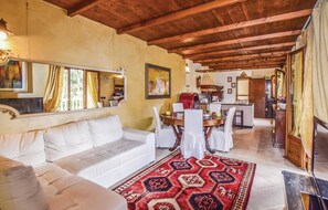 Televisión, chimenea y tenis de mesa
