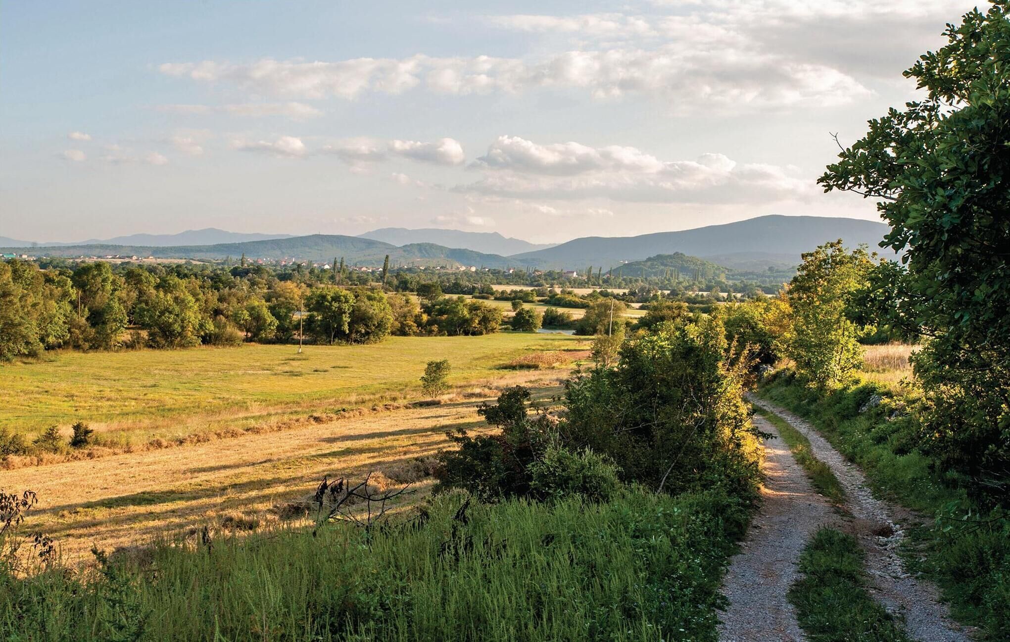 Paesaggio rurale con un sentiero sterrato, campi e montagne in lontananza.