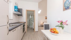 Eine moderne Küche mit Einbauofen, Spüle und einer Duschkabine.