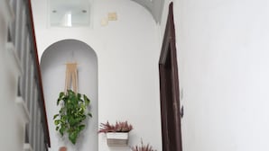 A narrow hallway with a wooden handrail, a hanging plant, and two potted plants on the wall. - Dimora Megaride (Naples)