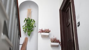 A narrow hallway with white walls, a wooden door, and two potted plants. - Dimora Megaride (Naples)