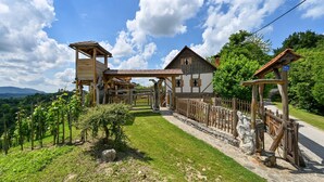 A traditional wooden chalet with a stone pathway leading to the entrance, surrounded by lush greenery and a clear sky.