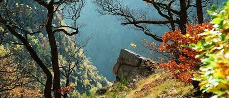 A mountainous landscape with trees and a rock formation.