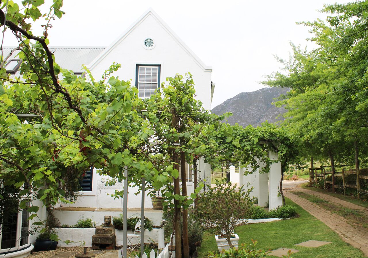 Comfort Double Room, 1 Queen Bed, Ensuite, Mountain View | Property grounds