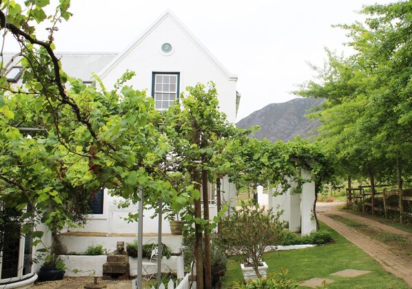 Comfort Double Room, 1 Queen Bed, Ensuite, Mountain View | Property grounds