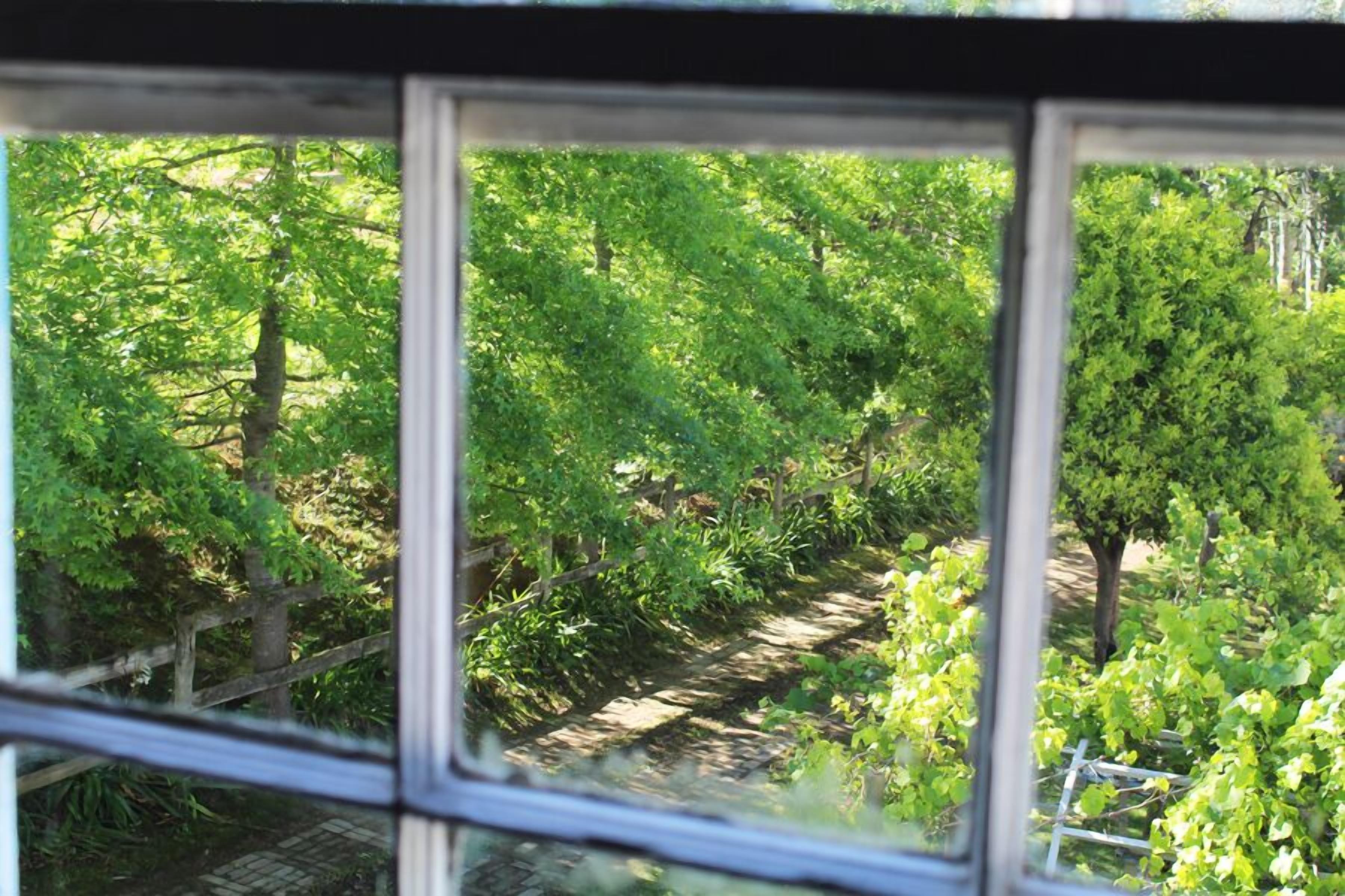 Classic Double Room, 1 Double Bed, Garden View | View from room