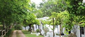 Moffid's Place