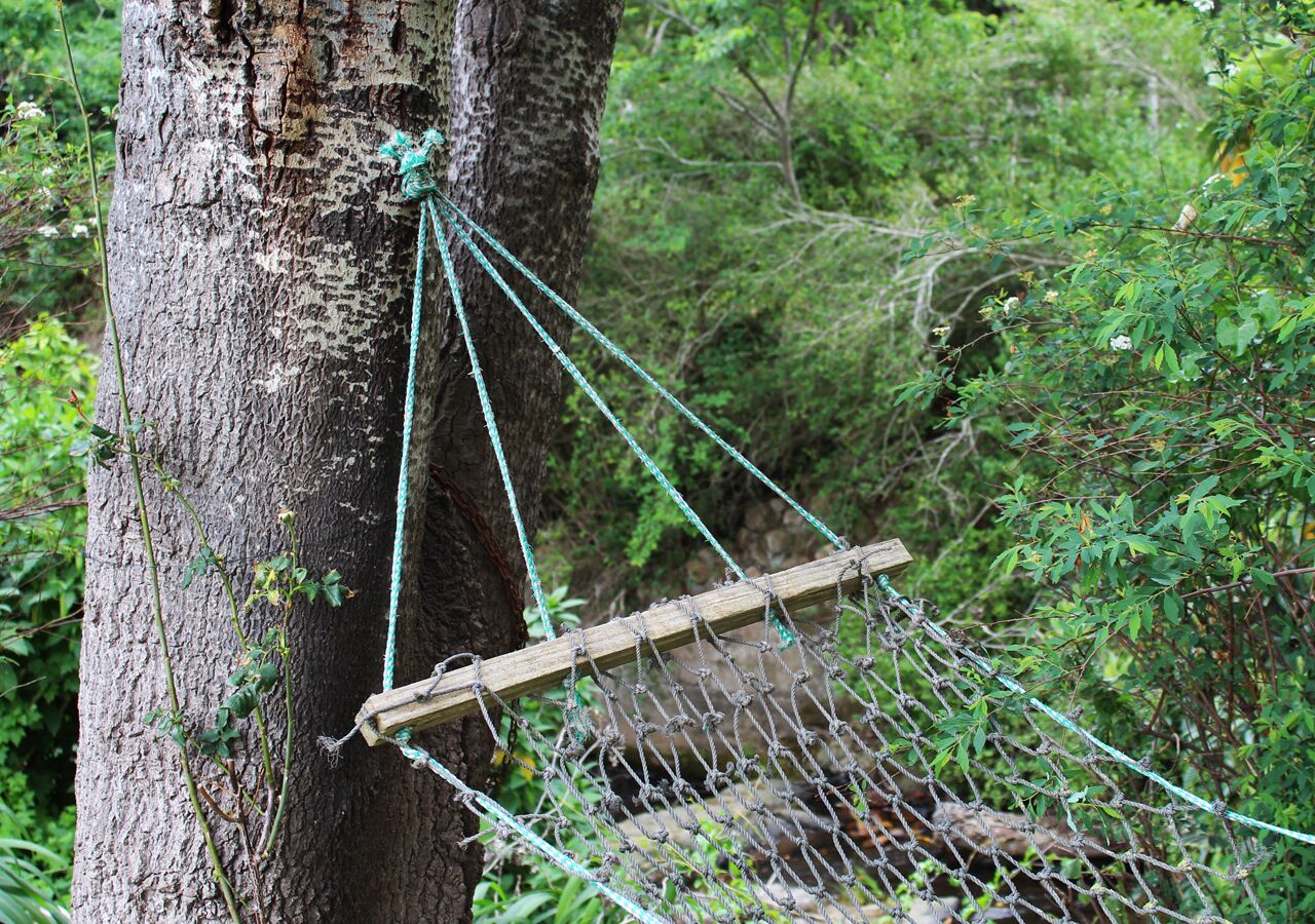 Un puente colgante en un bosque.