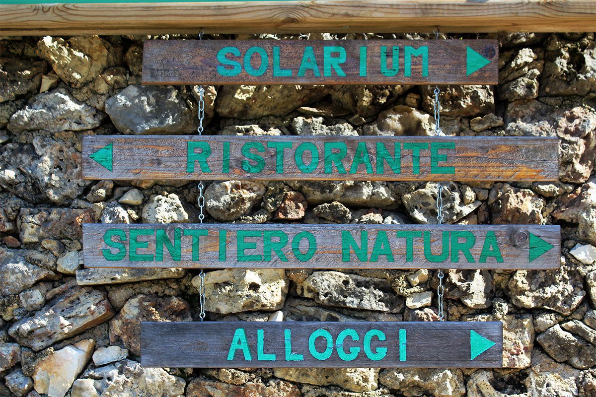 A wooden signpost with directional arrows pointing to various destinations.