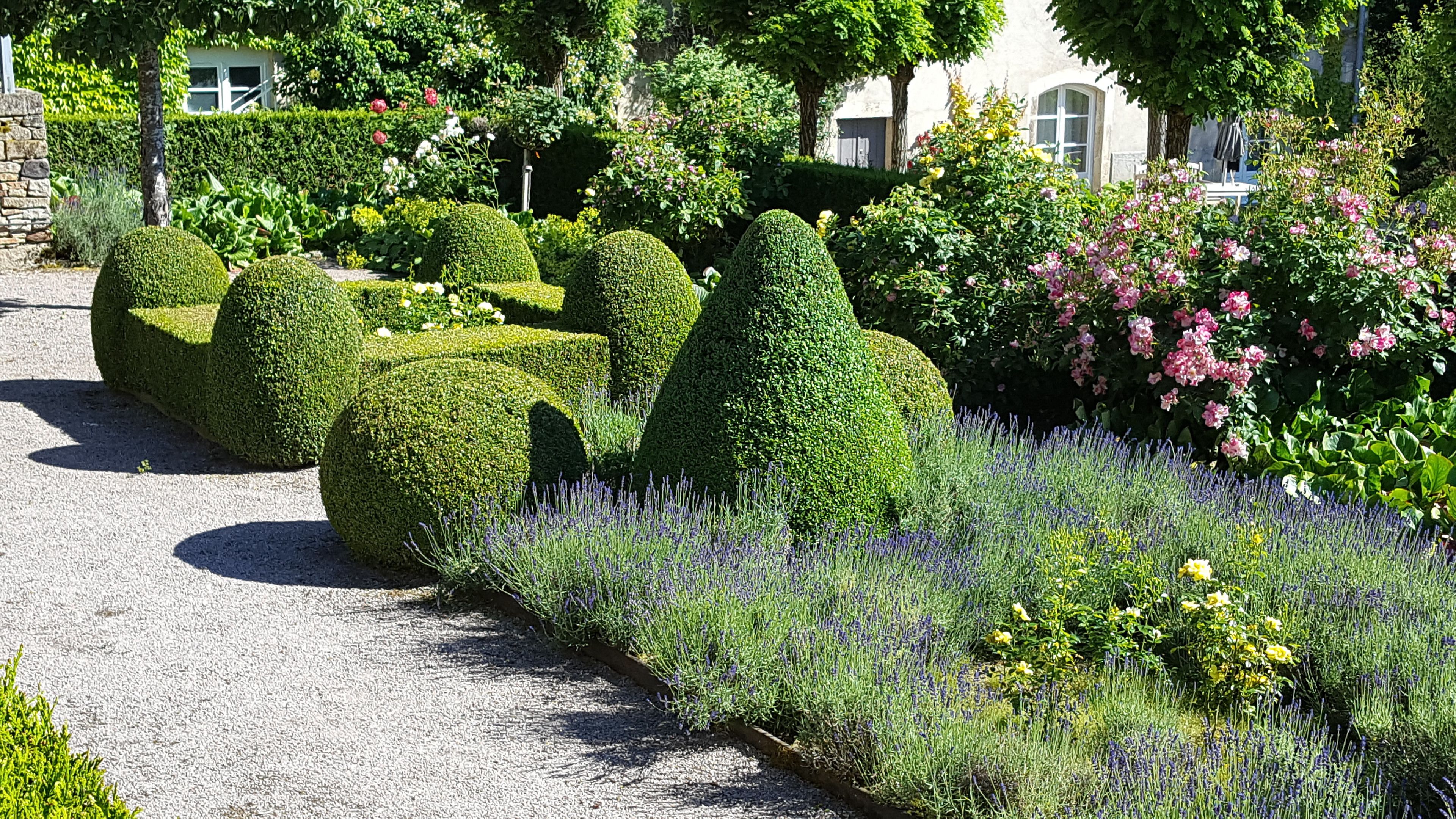 Een formele tuin met geometrisch gevormde hagen, lavendel en rozen.