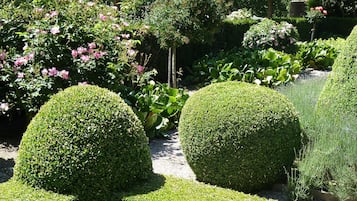 Jardin