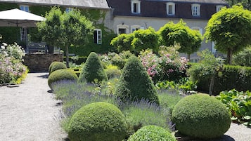 Trädgård