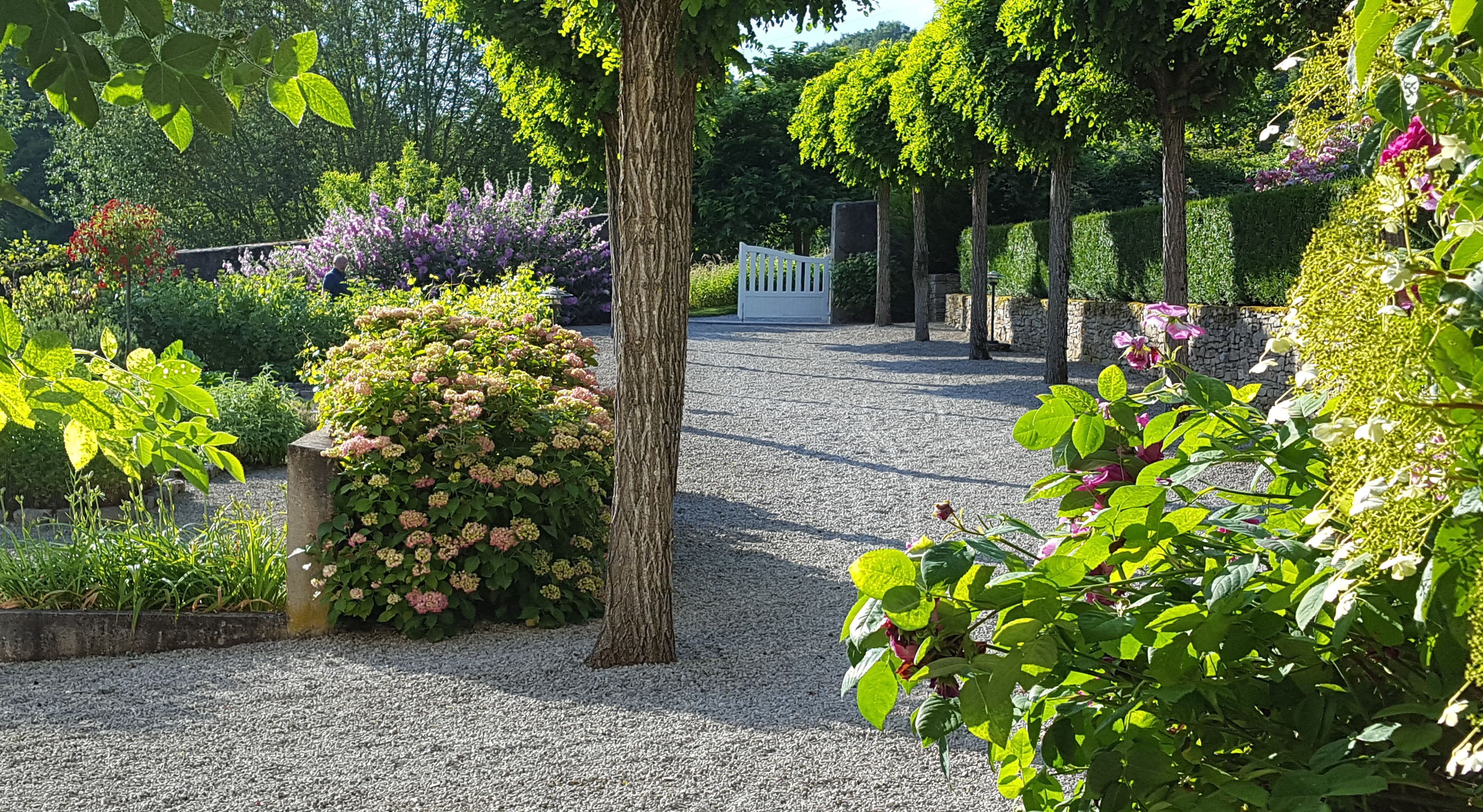 A garden pathway with gravel, surrounded by lush greenery and flowering plants.