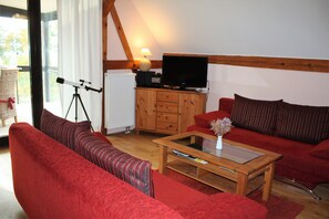 TV, DVD player, ping pong, stereo