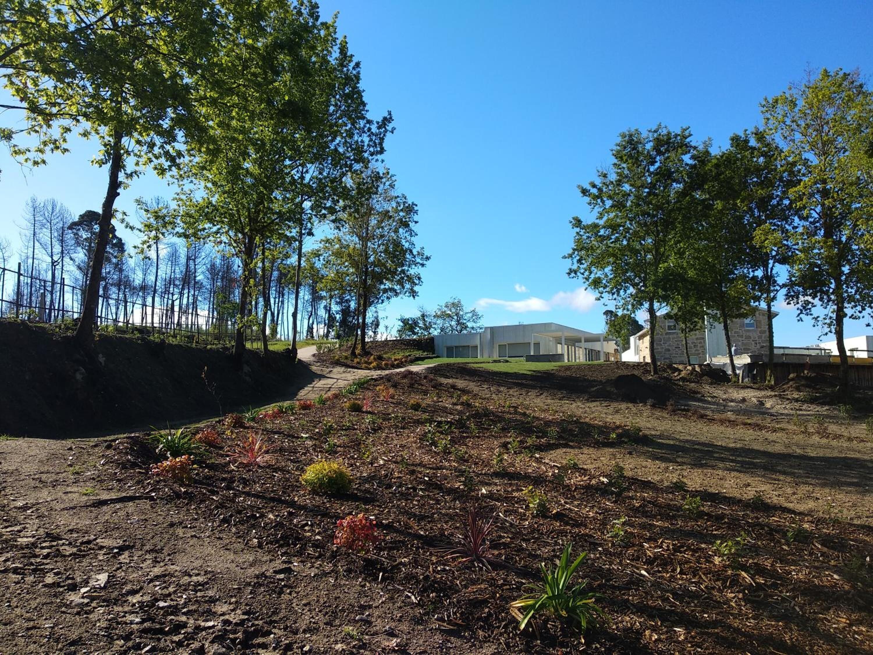 Un área ajardinada con un sendero pavimentado, árboles y un edificio al fondo.