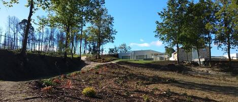 A landscaped area with a paved path, trees, and a building in the background.