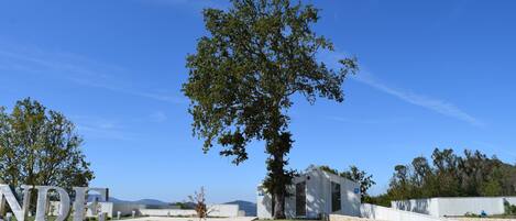 Un mur de pierre sur lequel on peut lire l’inscription « NUEVA ZORZETA », avec un arbre au premier plan.