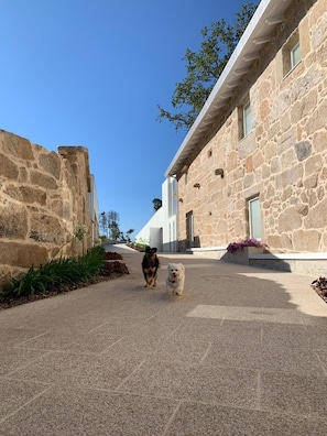 Pet-friendly - Hotel Nande (As Neves)