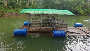 A floating structure with a green roof and blue barrels, surrounded by water and greenery. - Nature Green Forest Resort (Baler)