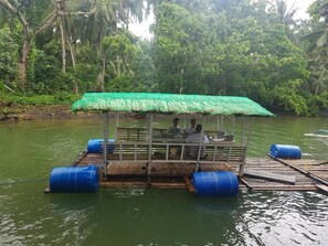 Lake - Nature Green Forest Resort (Baler)