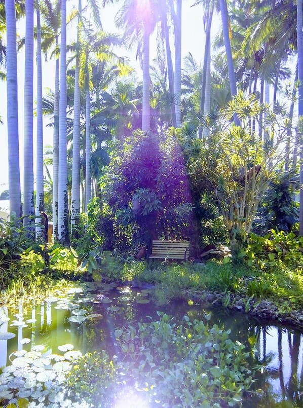A serene garden with a pond, surrounded by tall palm trees and lush greenery.
