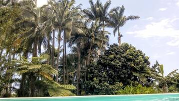 Outdoor pool, pool loungers