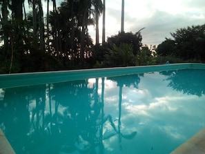 A clear swimming pool surrounded by tall palm trees and dense foliage. - Poivre & Citronnelle (Saint-André)