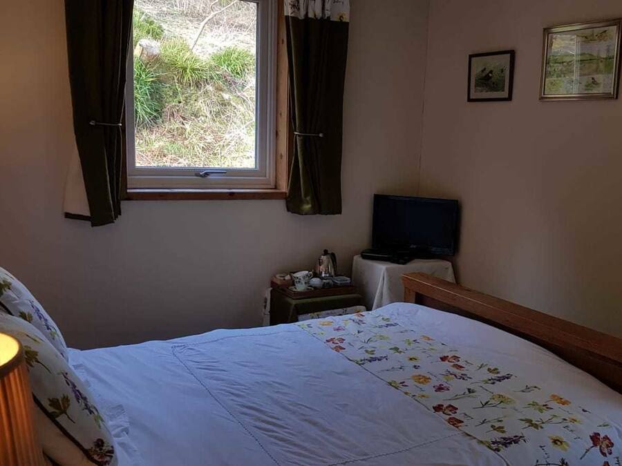 A bedroom with a bed, a bedside table with a lamp, a TV, and a window with curtains.