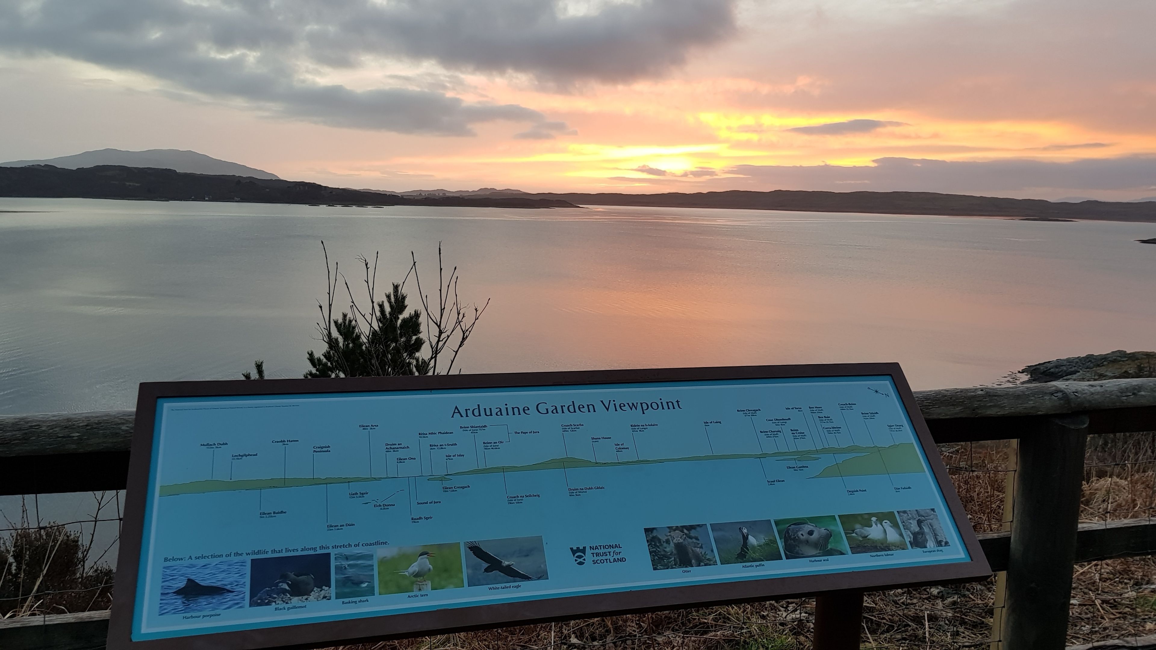 A signboard titled 'Arduaine Garden Viewpoint' with a map and wildlife illustrations.