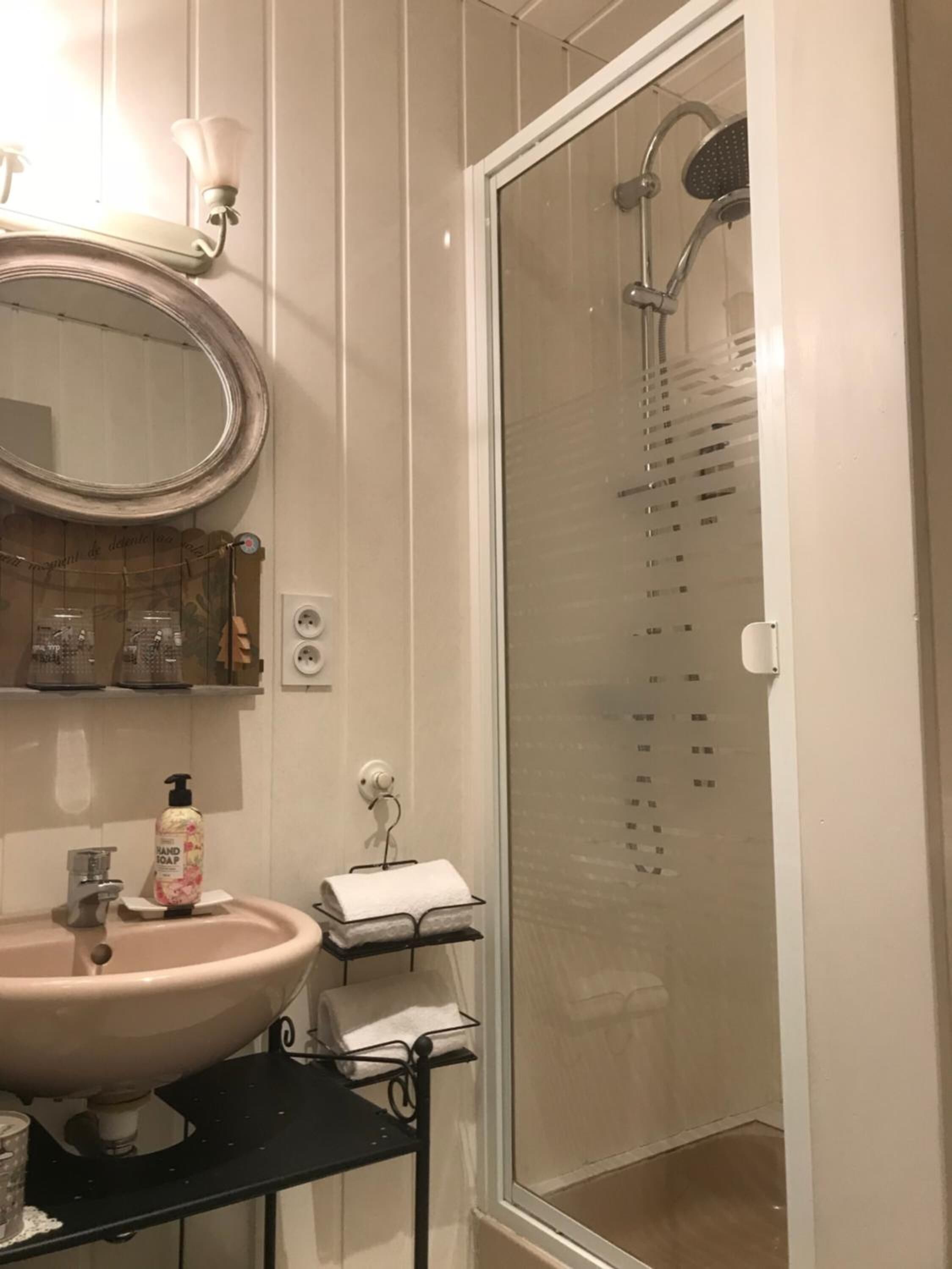 Une salle de bain avec un lavabo, un miroir et une douche.