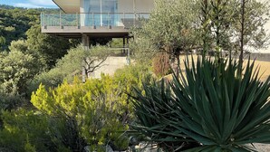 A modern two-story house with a balcony, surrounded by various shrubs and trees.