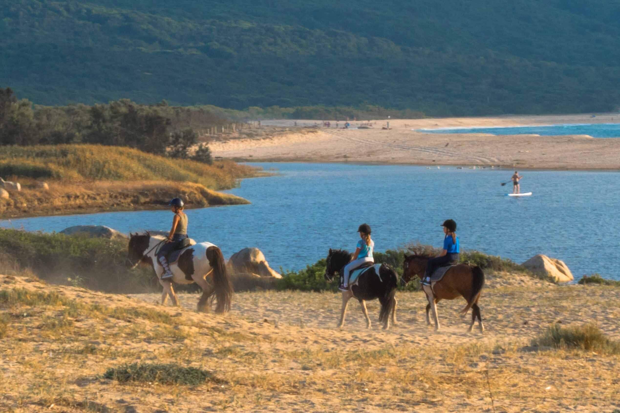 Una playa con caballos y jinetes.