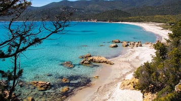 Ubicación cercana a la playa y sombrillas