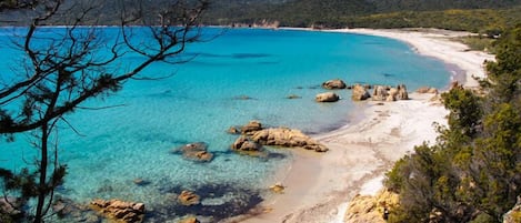 Pantai di sekitar dan payung pantai