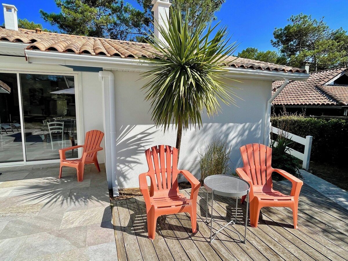 Eine Terrasse mit drei Adirondack-Stühlen, einem runden Tisch und einer Palme.