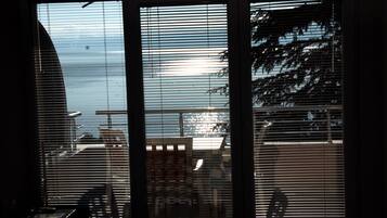 Lake view