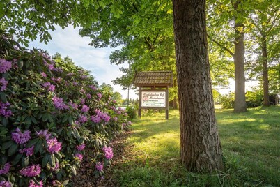 Rhododendron-Hof