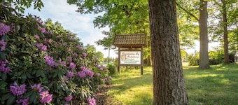 Rhododendron-Hof