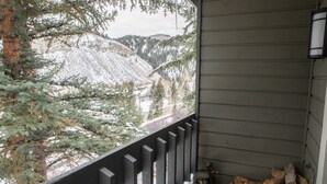 Unclassified image, 2 of 22, button - 126 Ridgepoint 3 Bedroom Townhouse by RedAwning (Avon)