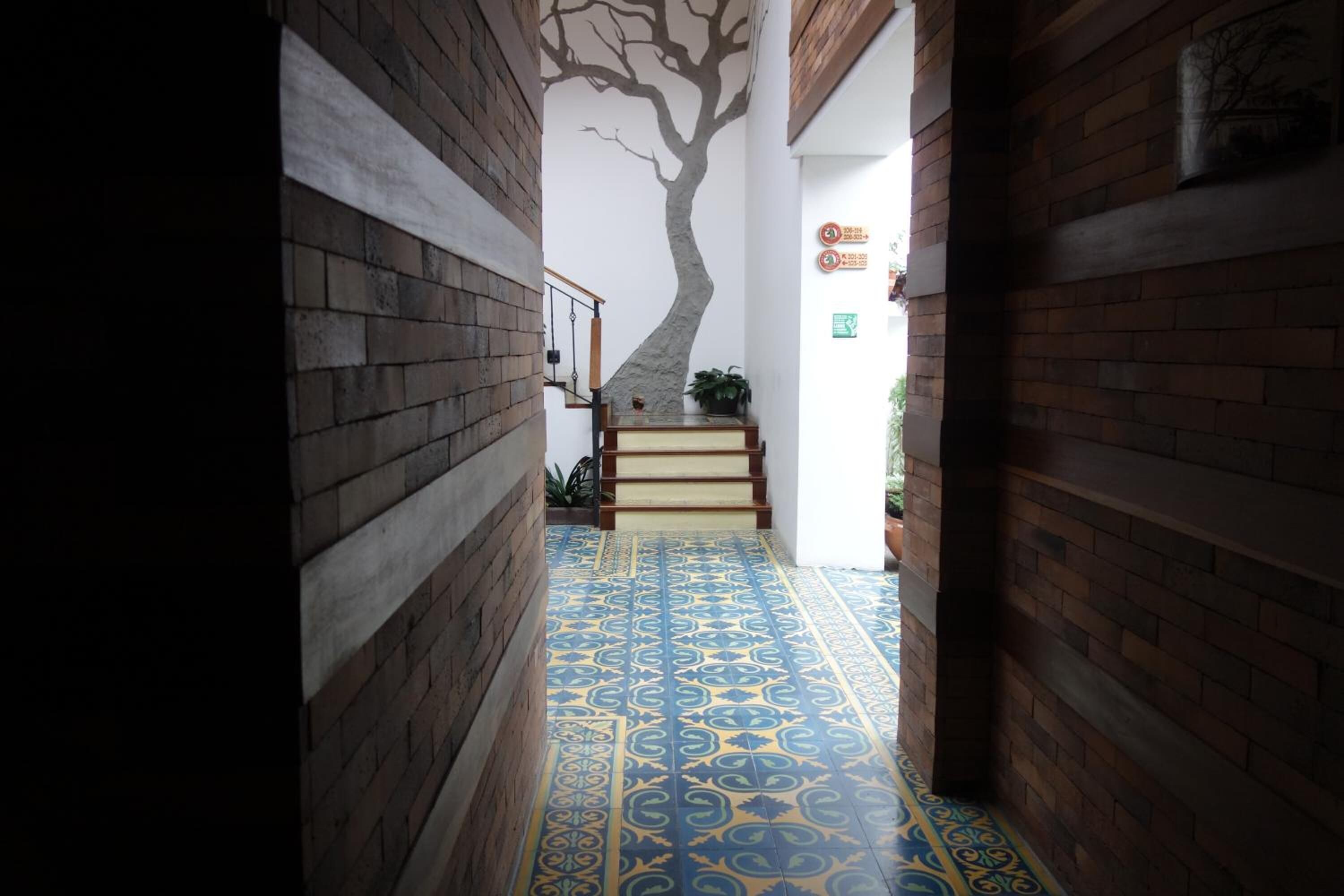 Photo - The Cranky Croc Hostel