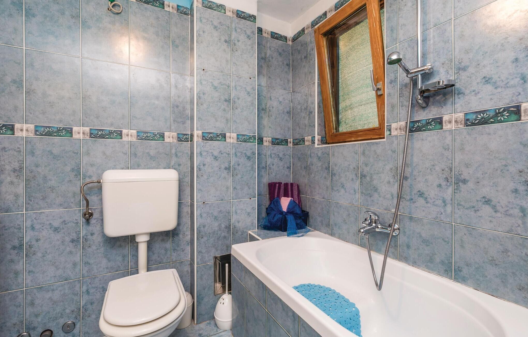 A bathroom with a toilet, a bathtub with blue bath mats, and a shower with a handheld showerhead.