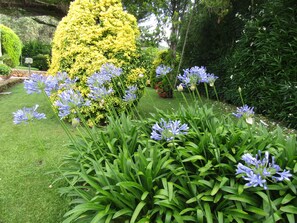 Un jardín con césped cuidado, diversas plantas florecientes y un seto bien recortado.