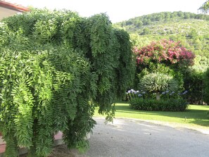 Garden - Arenosu a pochi Km dalle spiagge (Alghero)