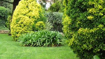 Área da propriedade