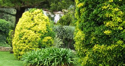 Arenosu a pochi Km dalle spiagge