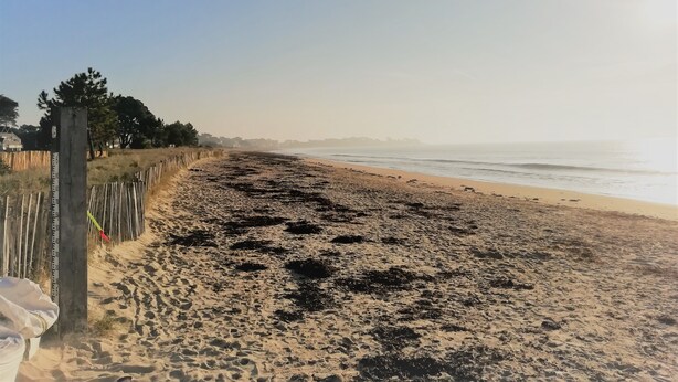 Une plage avec une clôture en bois et un poteau en bois muni d’un appareil de mesure.