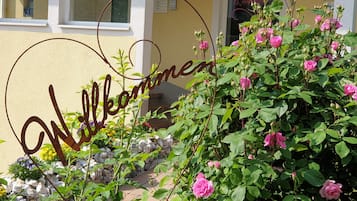 Detalle del exterior