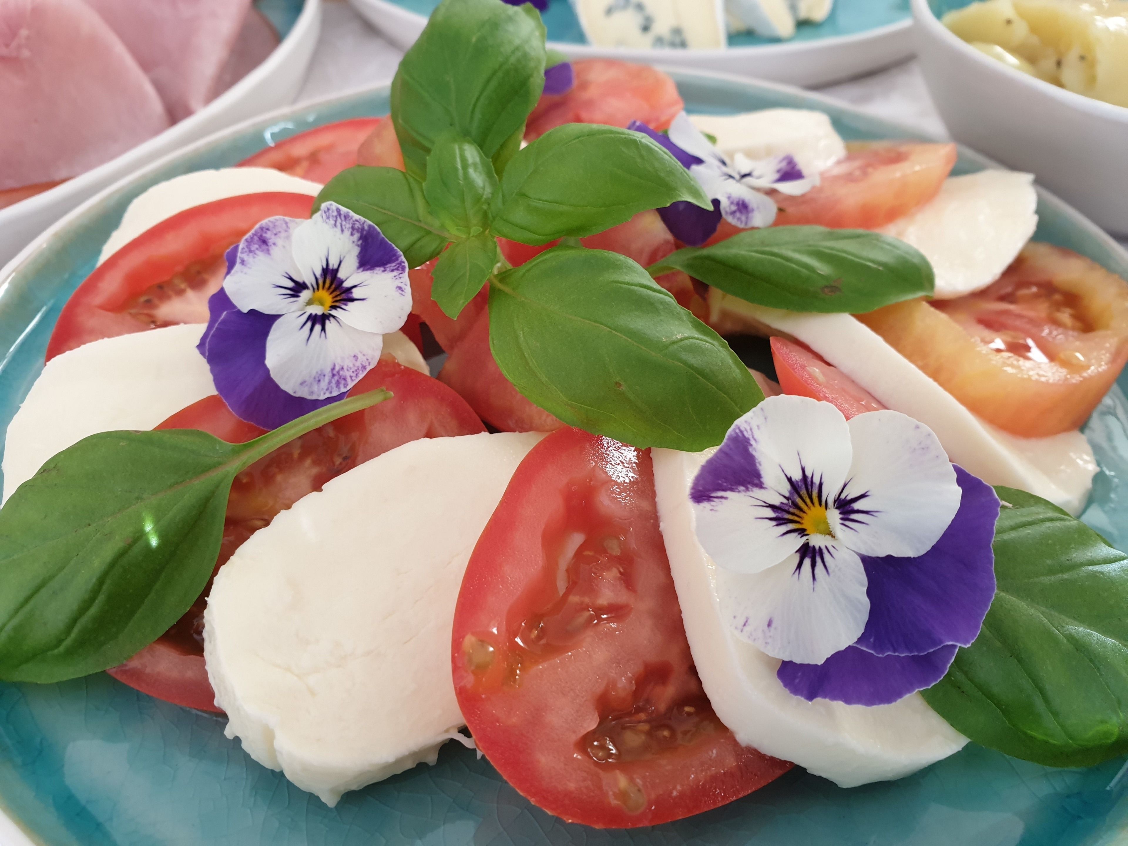 Une assiette de salade Caprese, composée de tomates, de mozzarella, de basilic et de fleurs comestibles.
